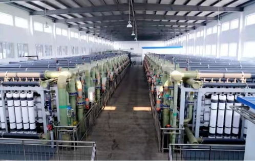 世界水日∣北控水務(wù)用實(shí)際行動應(yīng)對水資源挑戰(zhàn) 聚焦污水處理及其再生利用