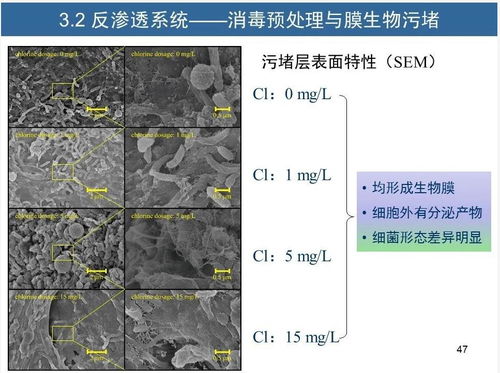 水征分析與污水再生處理工藝診斷優(yōu)化方法——胡洪營教授專題分享